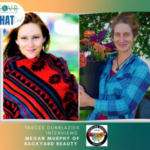 Tracee spiritual empath ~ shaman ~ national-award-winning author Tracee spiritual empath ~ shaman ~ national-award-winning author